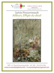 carton-sylvie-pinsonneault